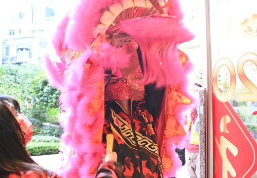 DSC 3021