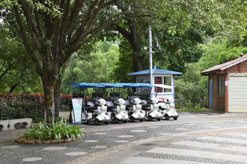 DSC_3675.JPG