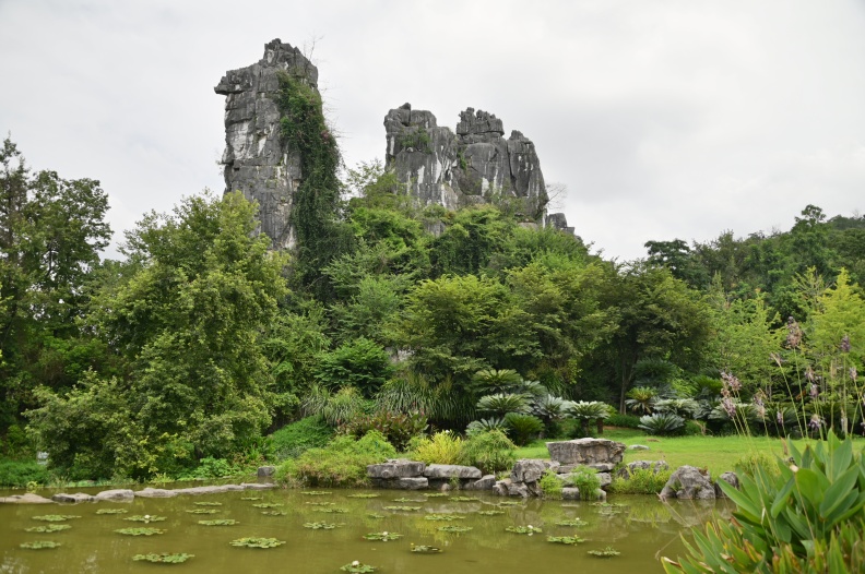 DSC_3726.JPG