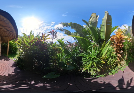 Solana Luxury Wellness Retreat